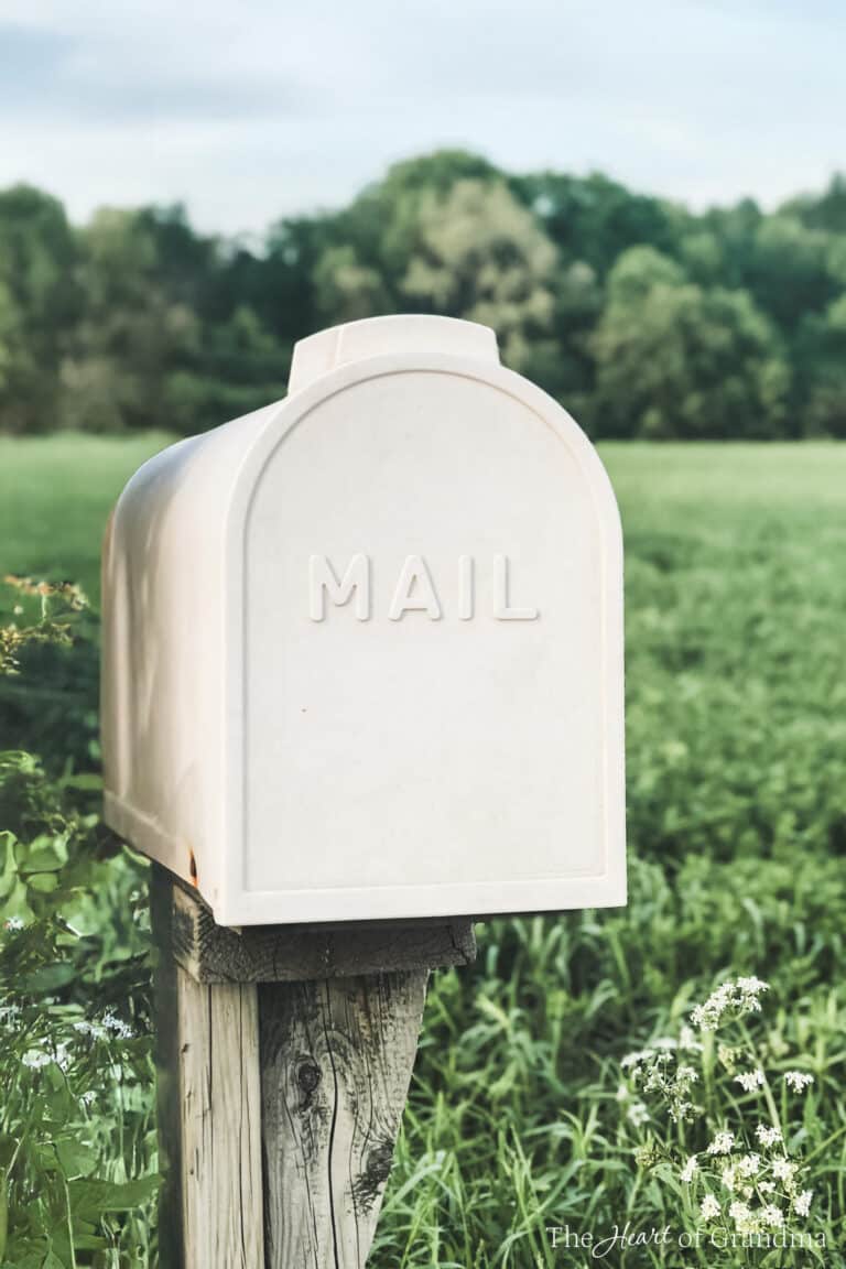 A white mailbox on an old farm post in a grassy field.