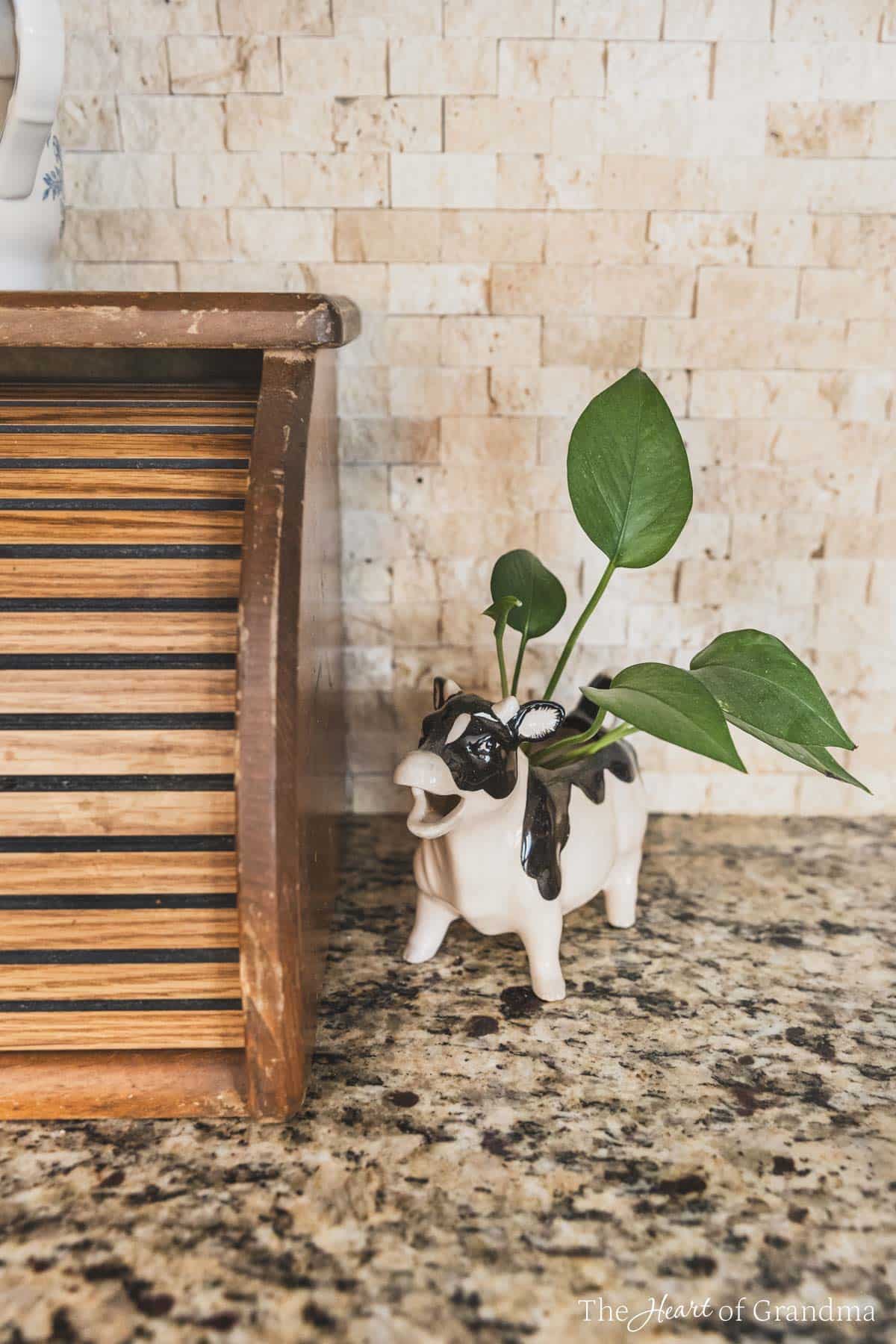 An antique cow with a plant in it sitting next to an antique bread box.